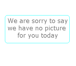 Total Stop Brakes (Pair) Stainless steel trolleys and stainless steel trucks